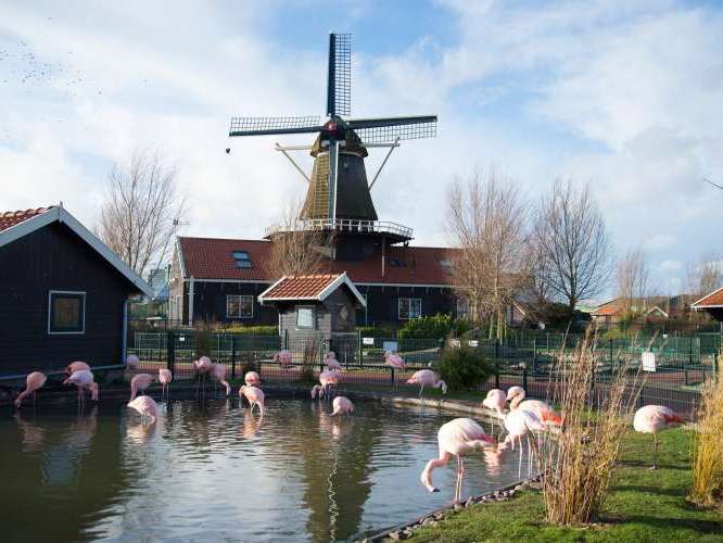 Parc animalier de Blanckendaell