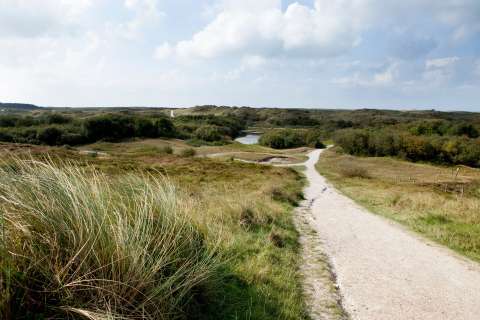 Les Dunes