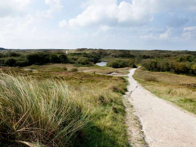 Schoorlse Duinen (Dunes) 