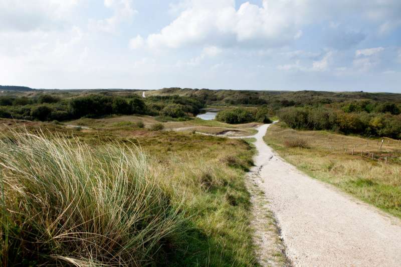 Les Dunes
